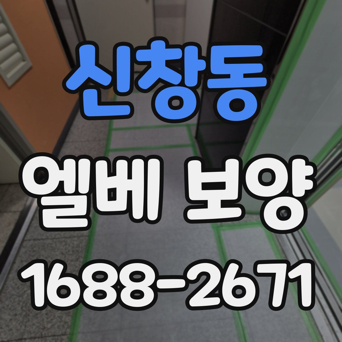 신창동 엘베 보양