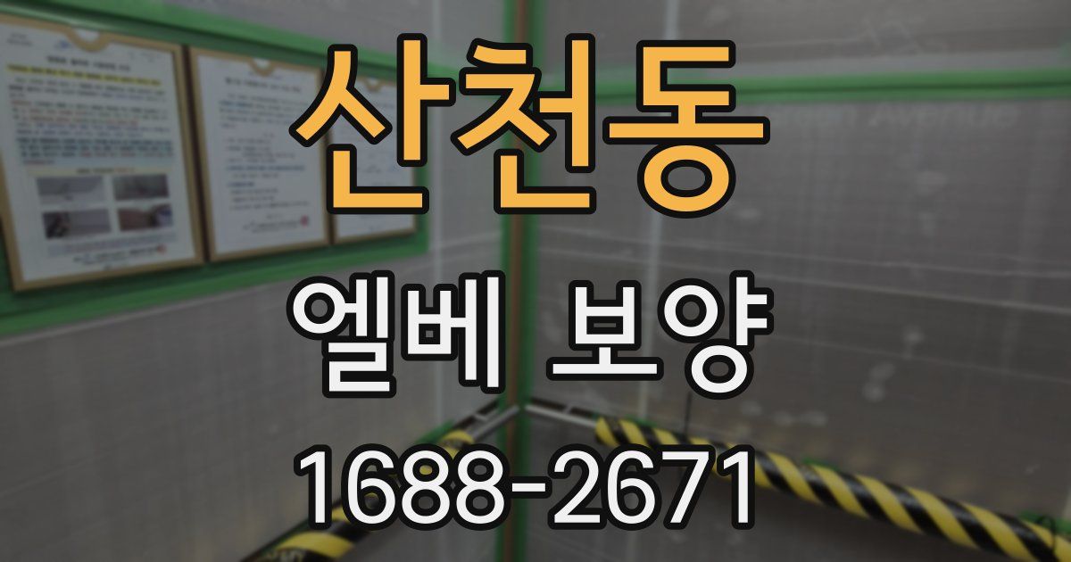 산천동 엘베 보양