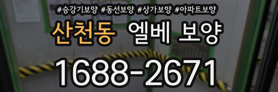 산천동 엘베 보양