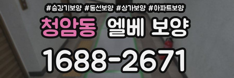 청암동 엘베 보양