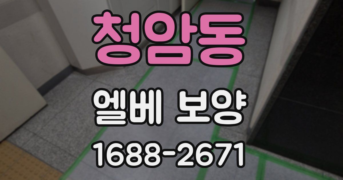 청암동 엘베 보양