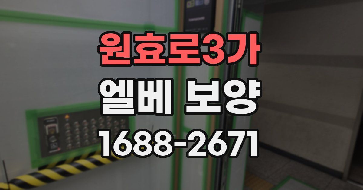 원효로3가 엘베 보양