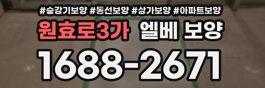 원효로3가 엘베 보양