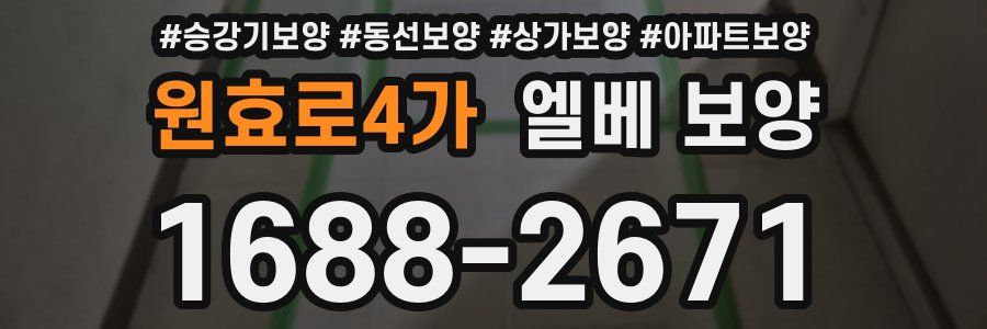 원효로4가 엘베 보양