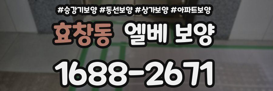 효창동 엘베 보양