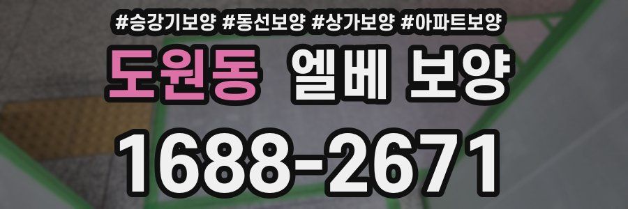 도원동 엘베 보양