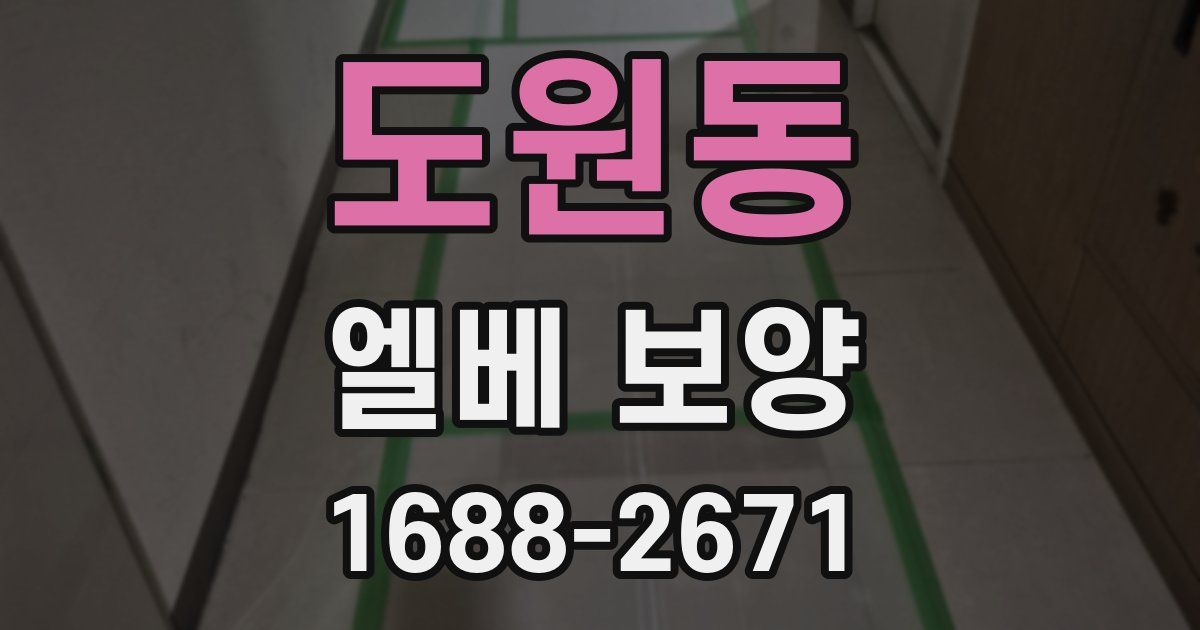 도원동 엘베 보양