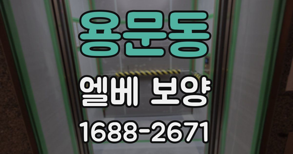 용문동 엘베 보양