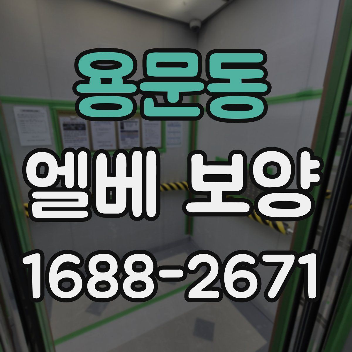 용문동 엘베 보양