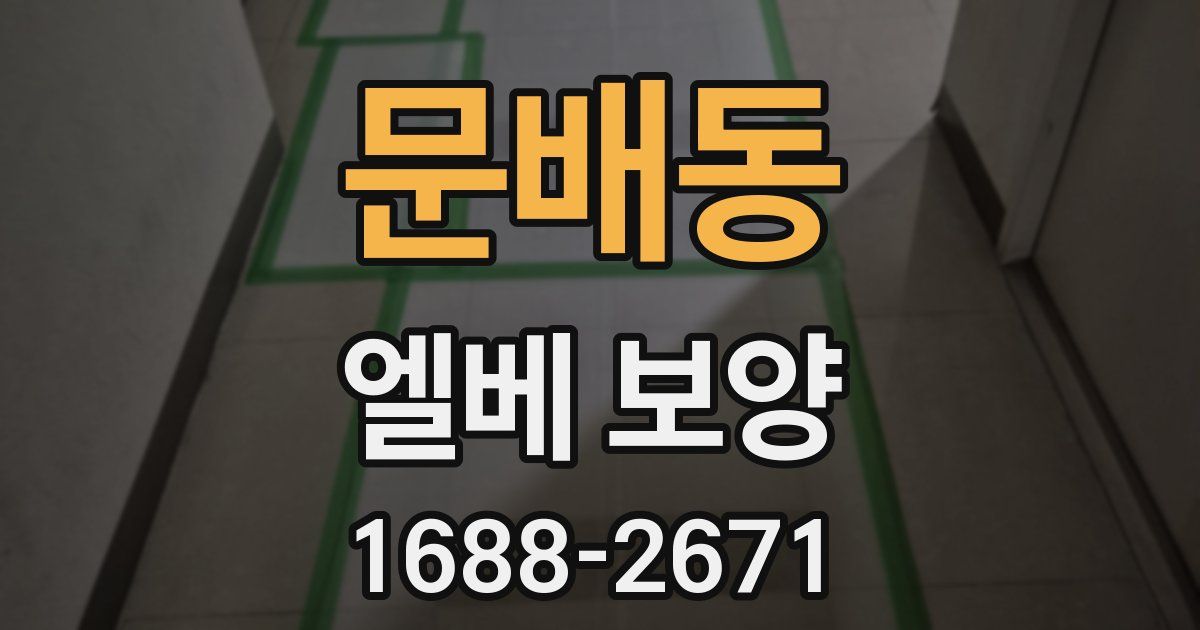 문배동 엘베 보양