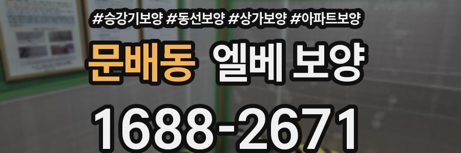 문배동 엘베 보양