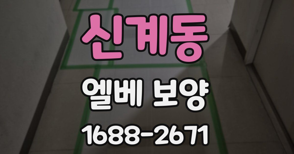 신계동 엘베 보양
