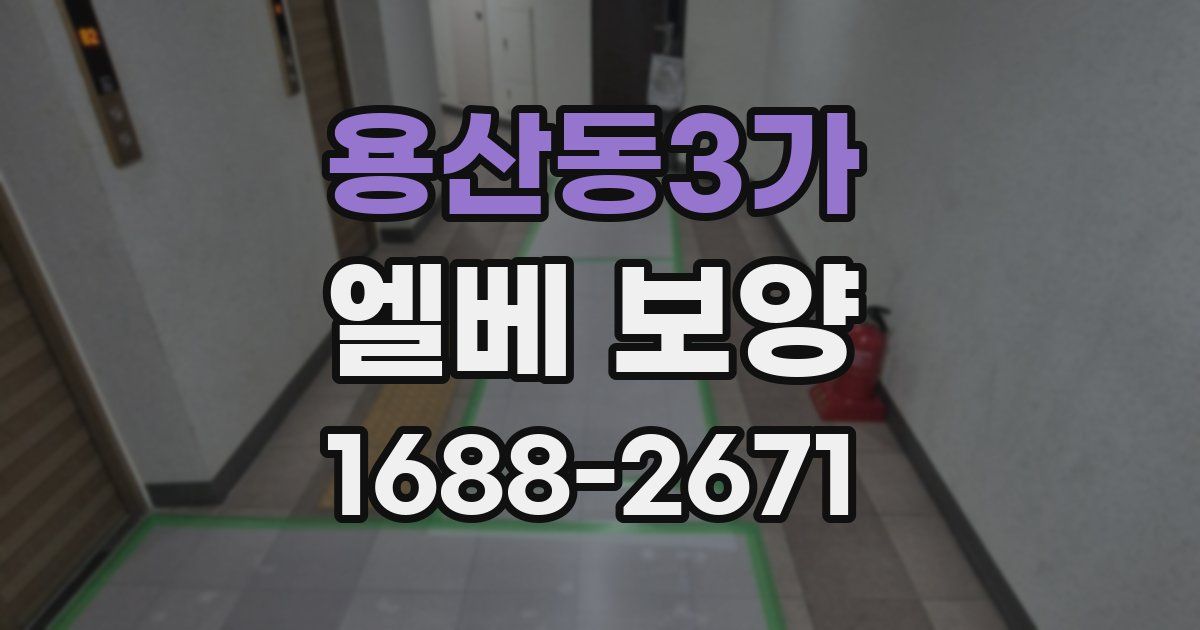 용산동3가 엘베 보양