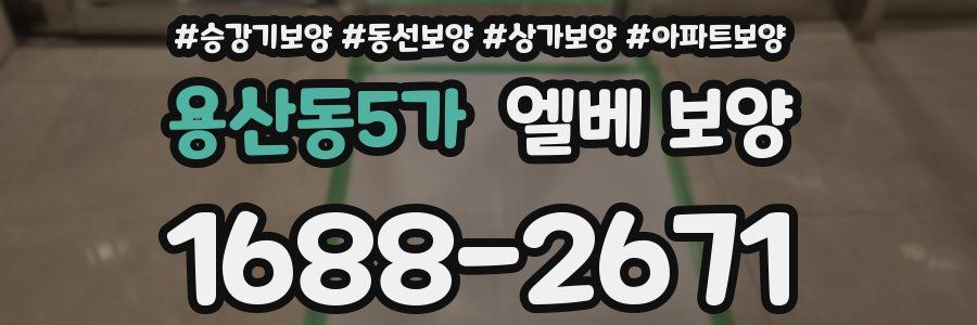 용산동5가 엘베 보양