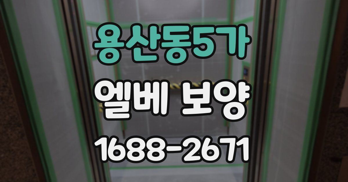 용산동5가 엘베 보양