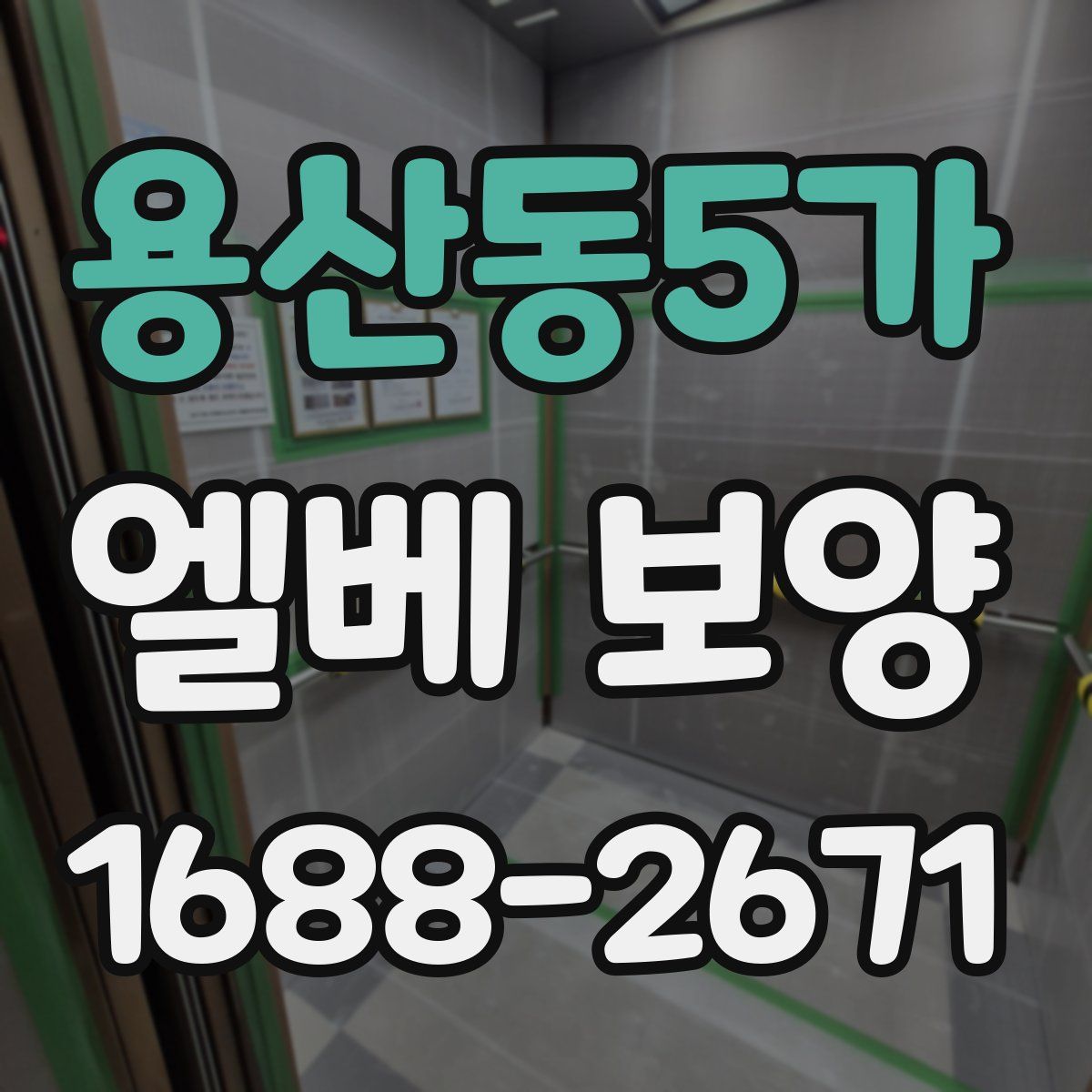 용산동5가 엘베 보양