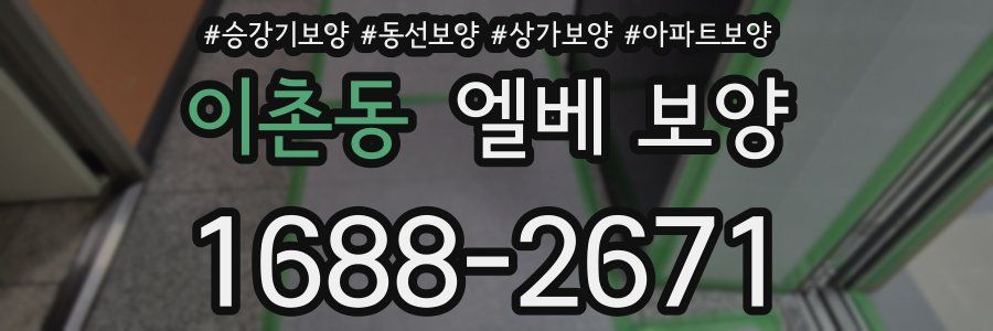 이촌동 엘베 보양