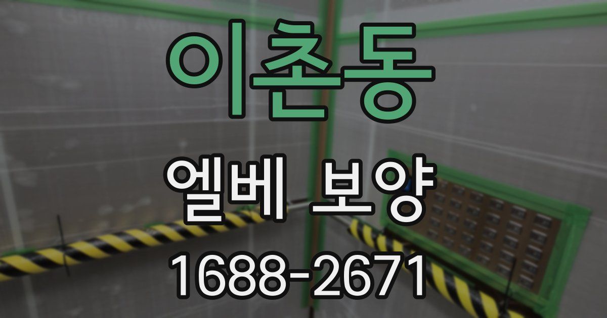 이촌동 엘베 보양