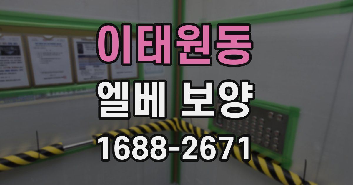 이태원동 엘베 보양