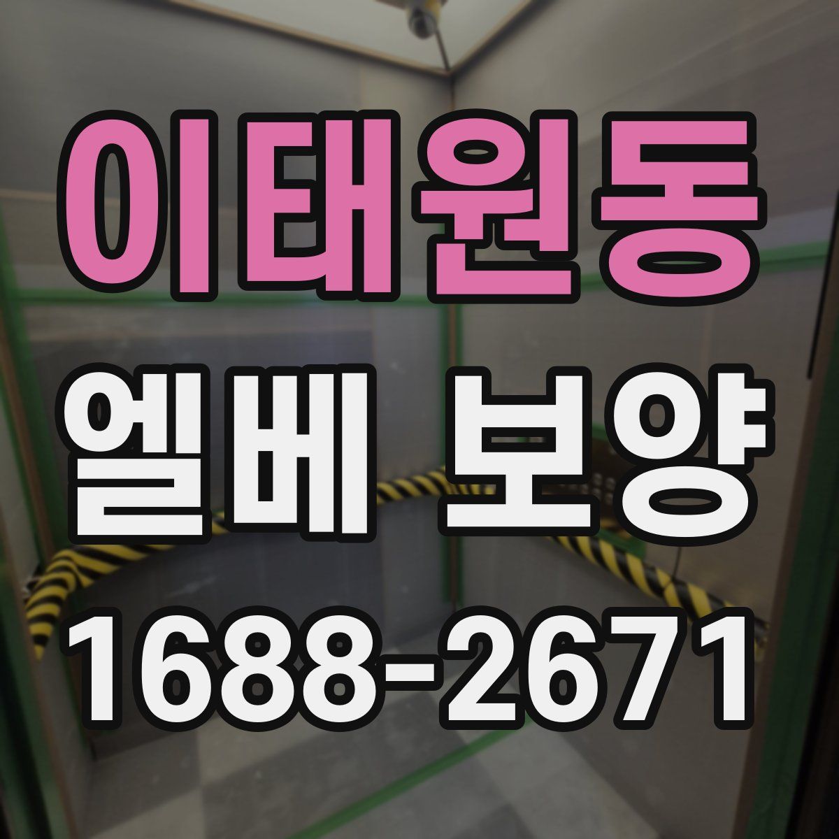 이태원동 엘베 보양