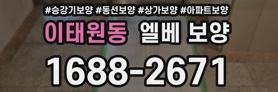 이태원동 엘베 보양