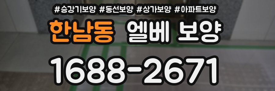 한남동 엘베 보양