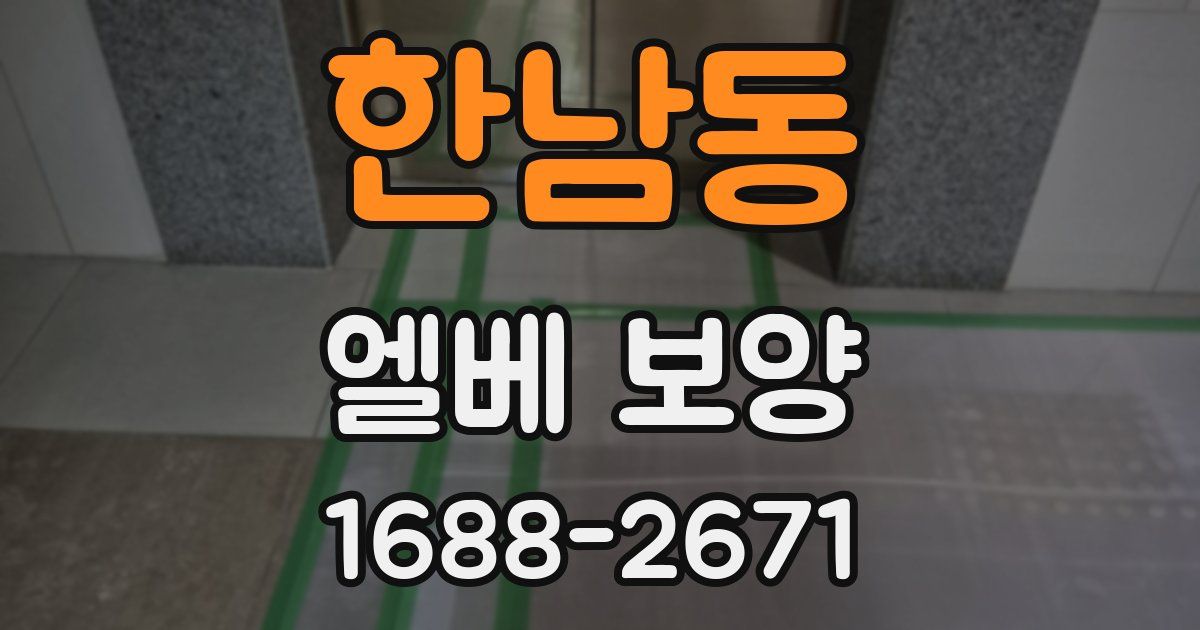 한남동 엘베 보양