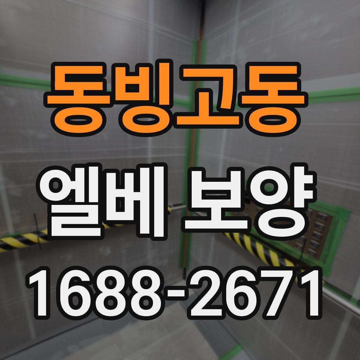 동빙고동 엘베 보양 대형 이사 현장에 맞는 보호 범위 설정
