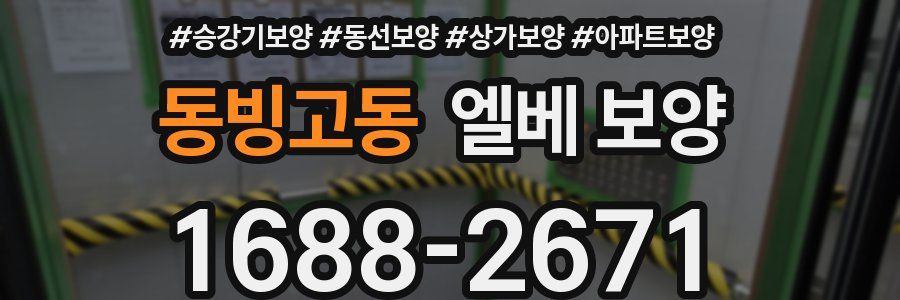 동빙고동 엘베 보양