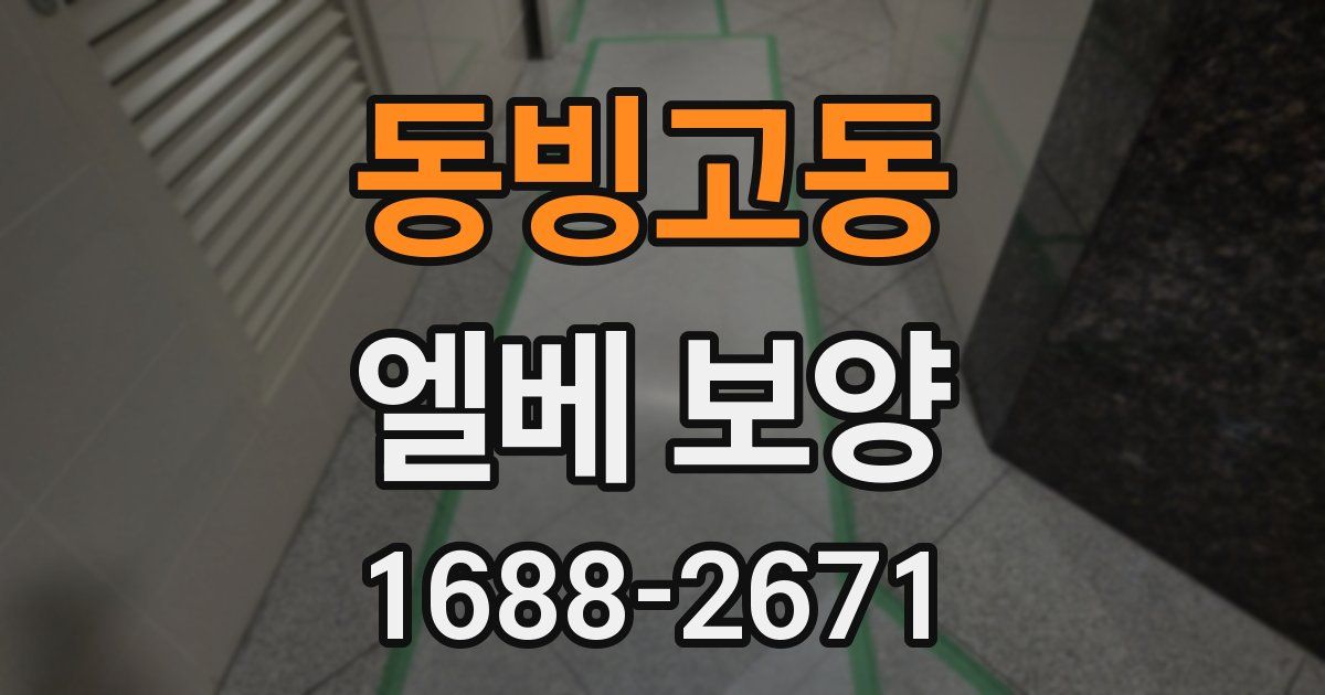 동빙고동 엘베 보양