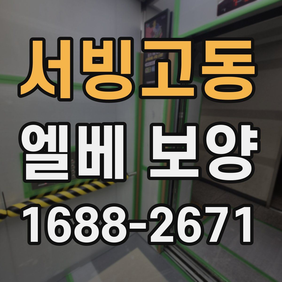 서빙고동 엘베 보양