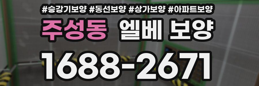 주성동 엘베 보양