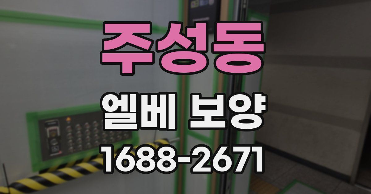 주성동 엘베 보양