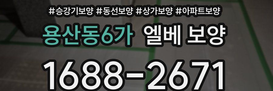 용산동6가 엘베 보양