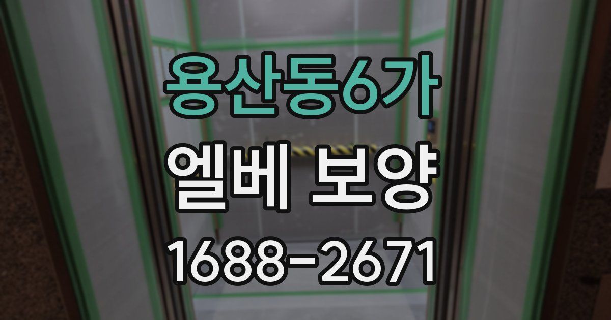 용산동6가 엘베 보양