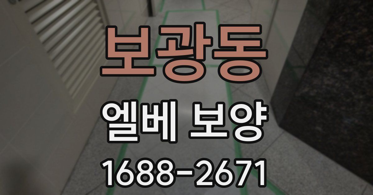 보광동 엘베 보양
