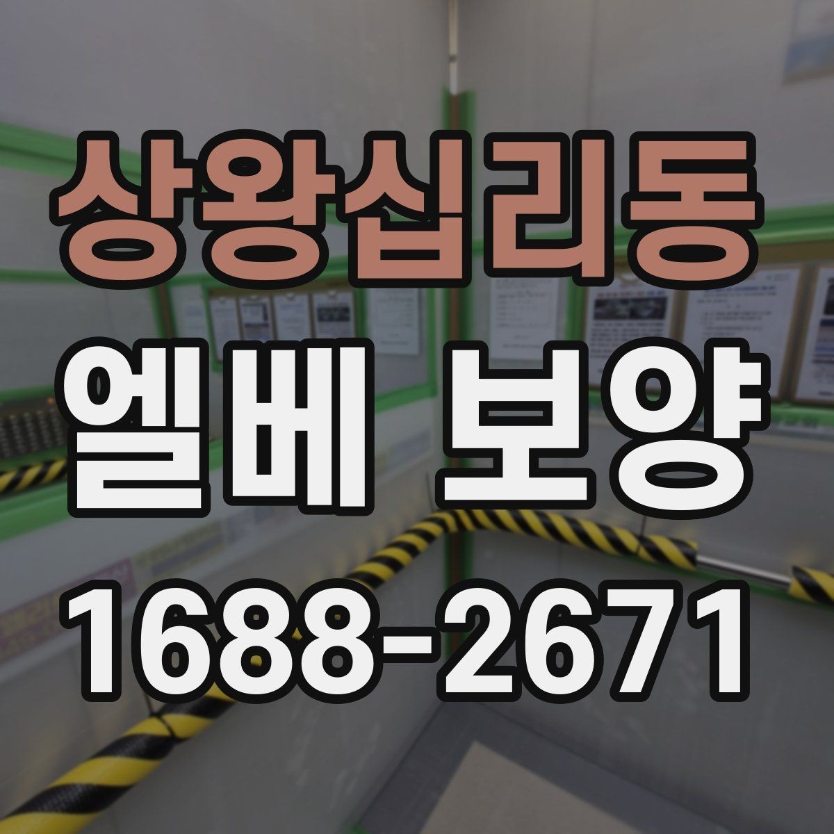 상왕십리동 엘베 보양 보강이 필요한 현장 기준을 먼저 보는 법