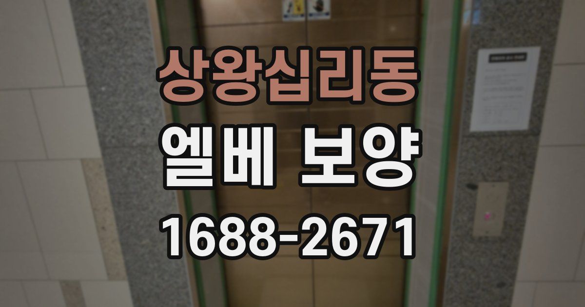 상왕십리동 엘베 보양