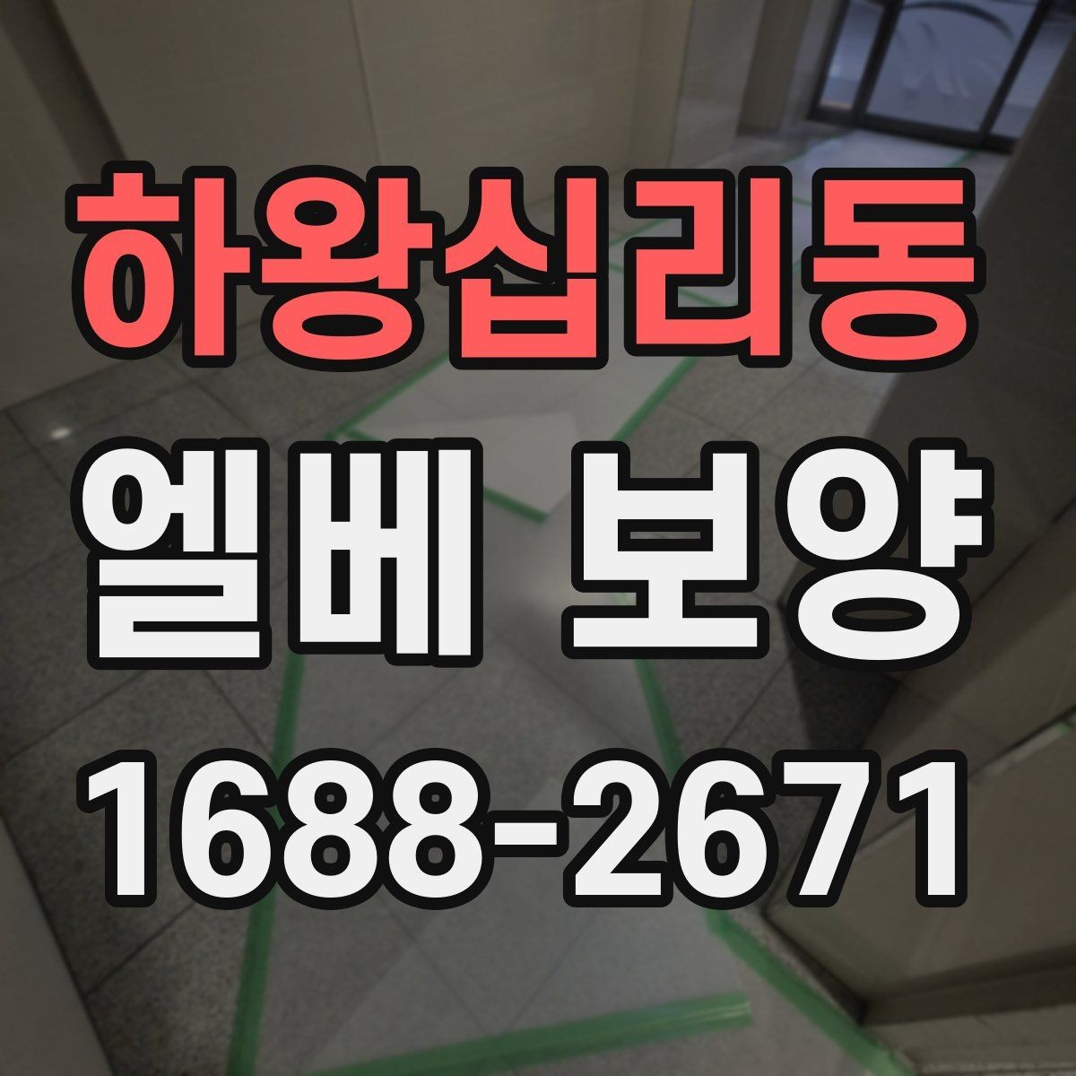 하왕십리동 엘베 보양 반복 출입 현장에서 빠른 교체가 필요한 이유