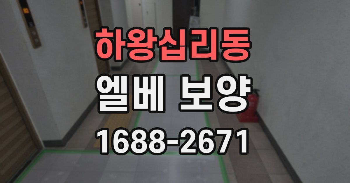 하왕십리동 엘베 보양