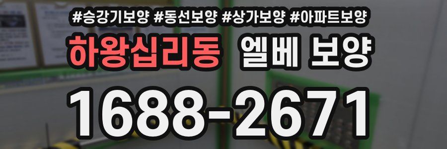 하왕십리동 엘베 보양