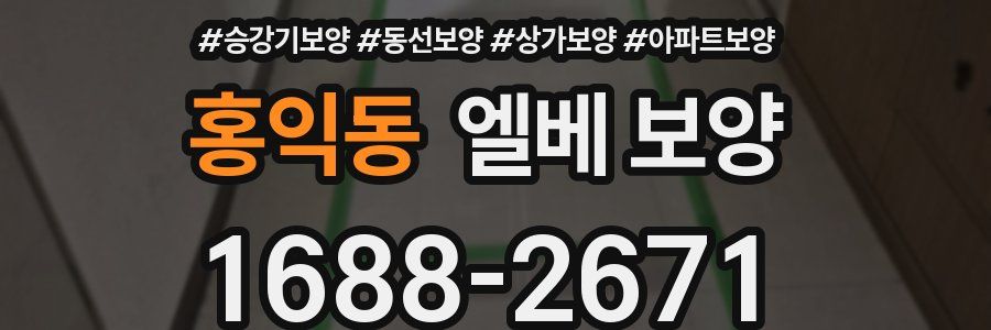 홍익동 엘베 보양