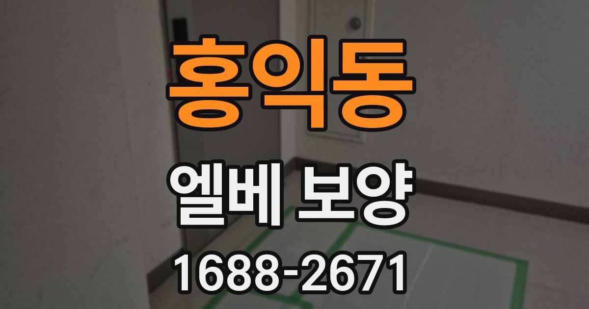 홍익동 엘베 보양