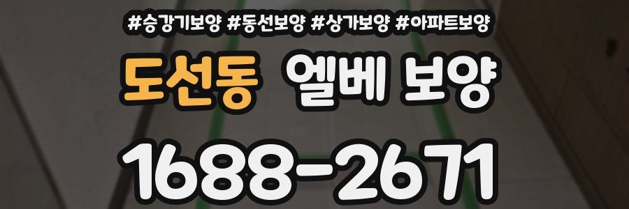 도선동 엘베 보양