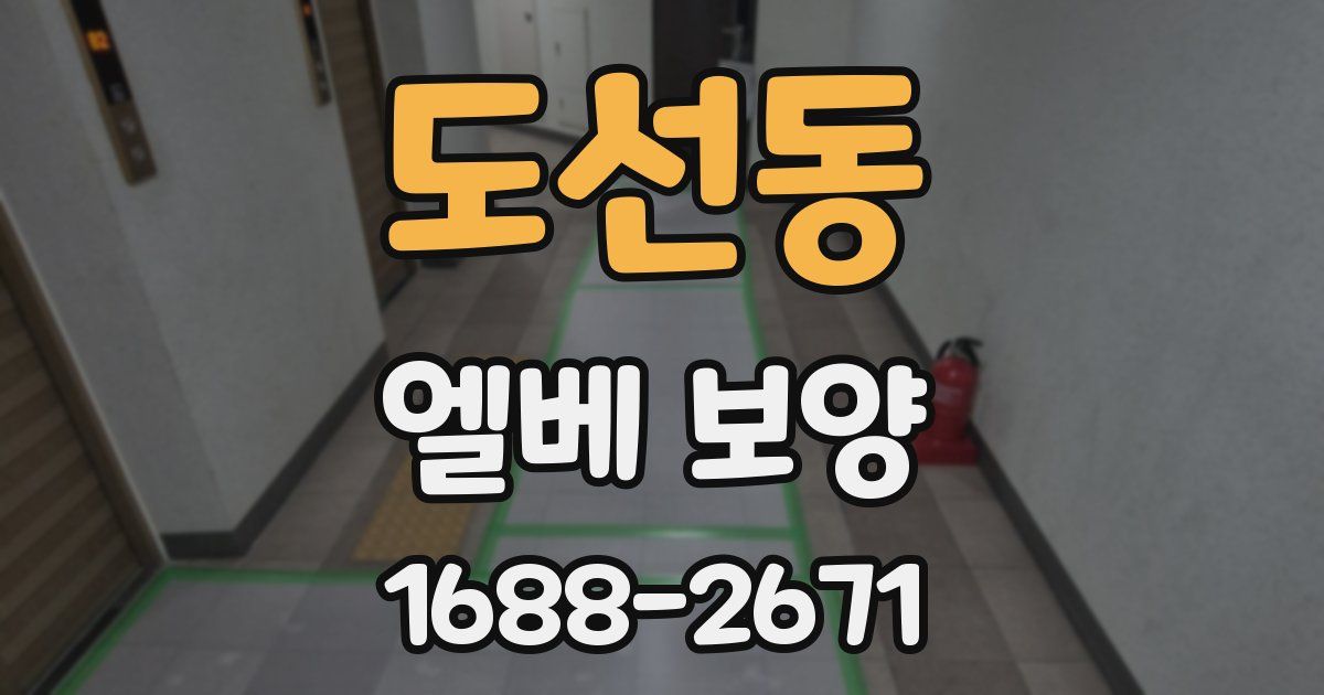 도선동 엘베 보양