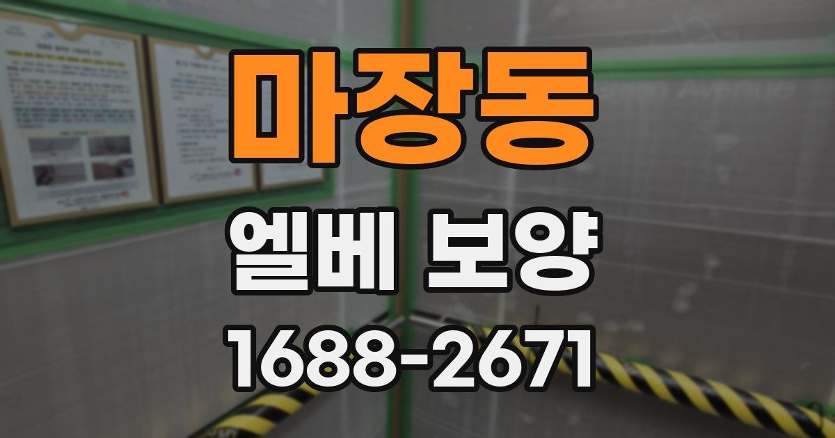 마장동 엘베 보양