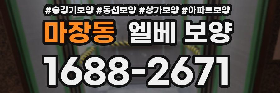 마장동 엘베 보양