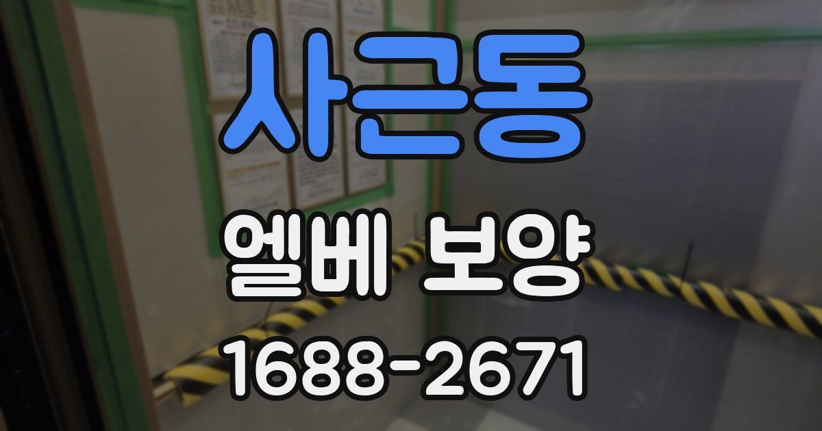 사근동 엘베 보양