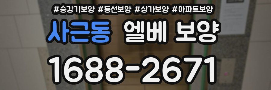 사근동 엘베 보양