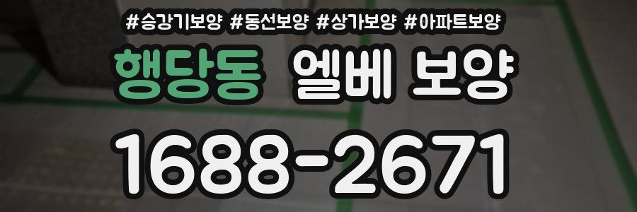 행당동 엘베 보양